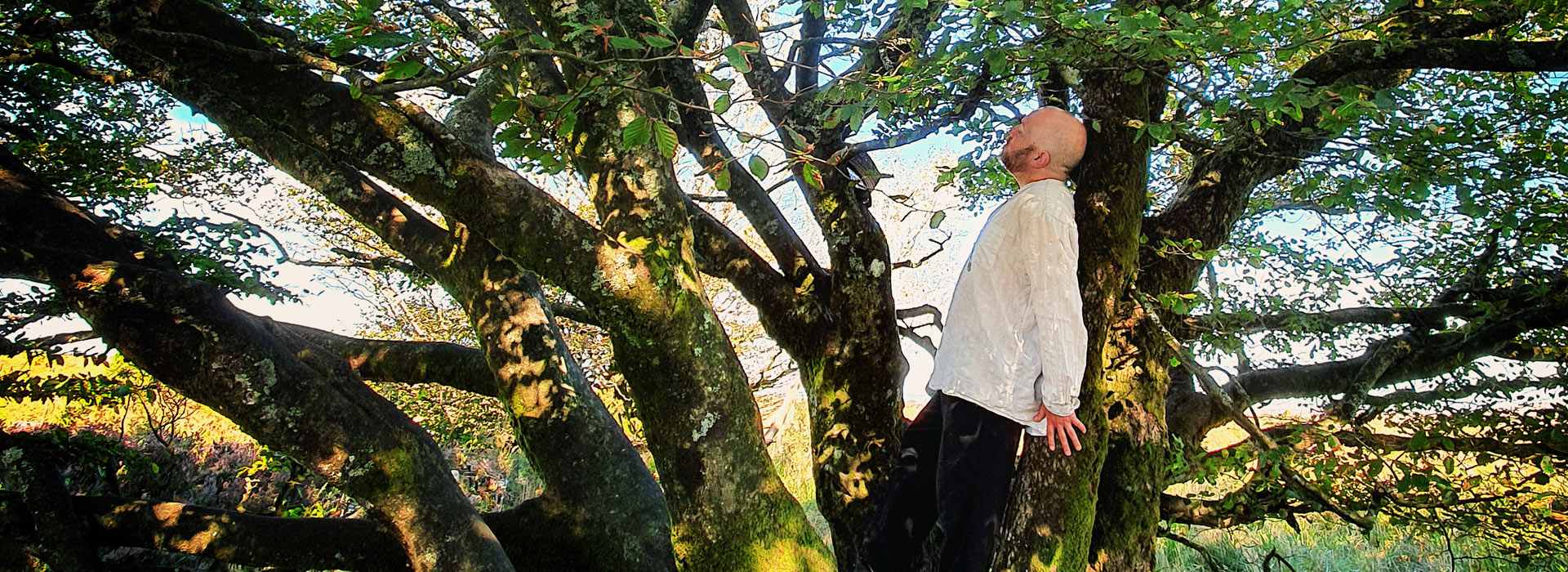 On voit le druide Taliesin adossé à un arbre magnifique avec lequel il est en communion. il pratiuqe la sylvareliance.