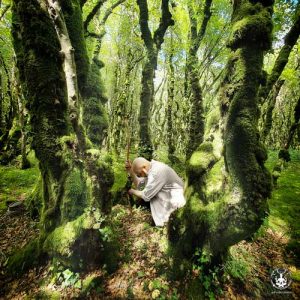 On voit le druide taliesin en séance de Sylvareliance, accroupi ai pied d'arbres dans une forêt