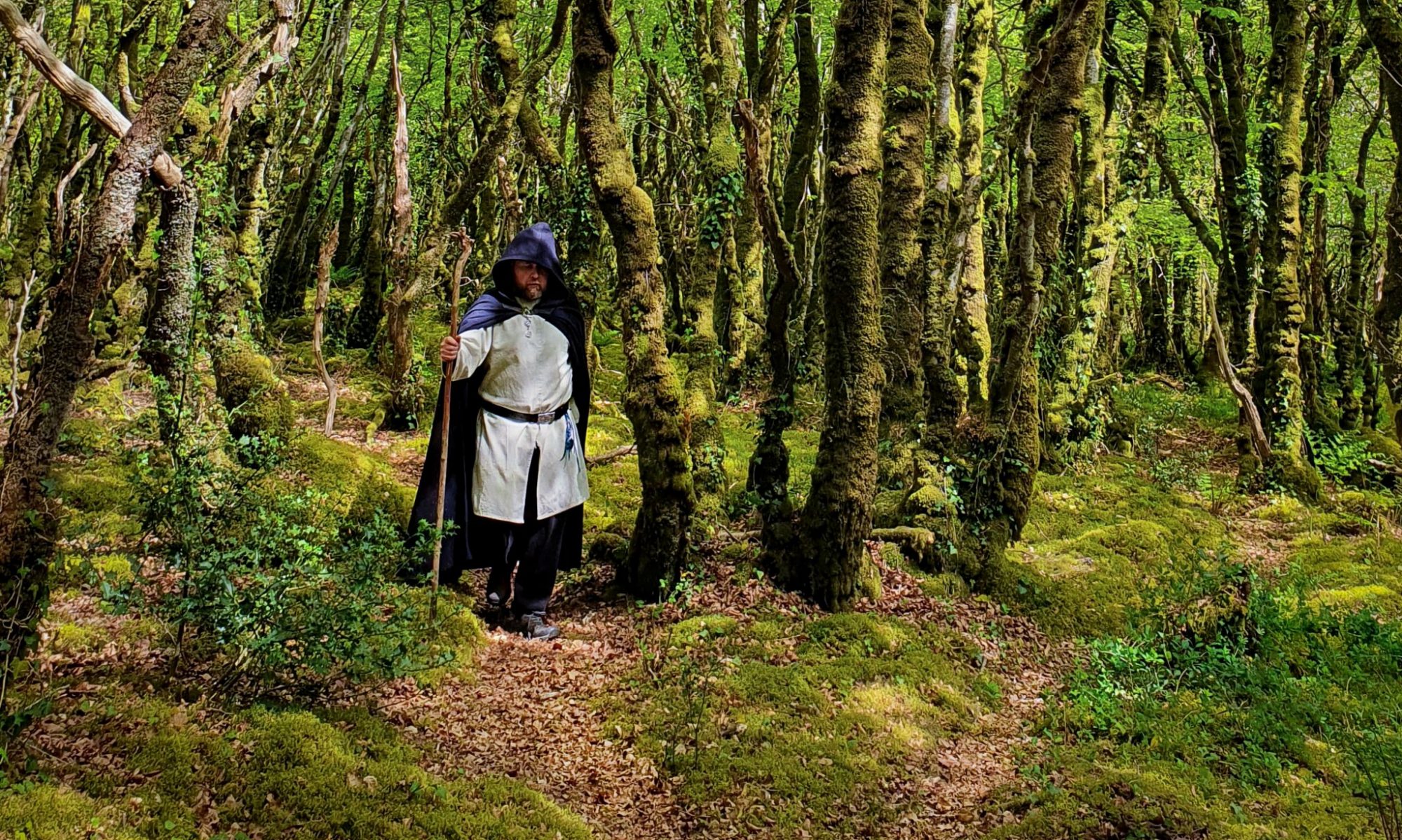 un druide marche dans une forêt mouseuse