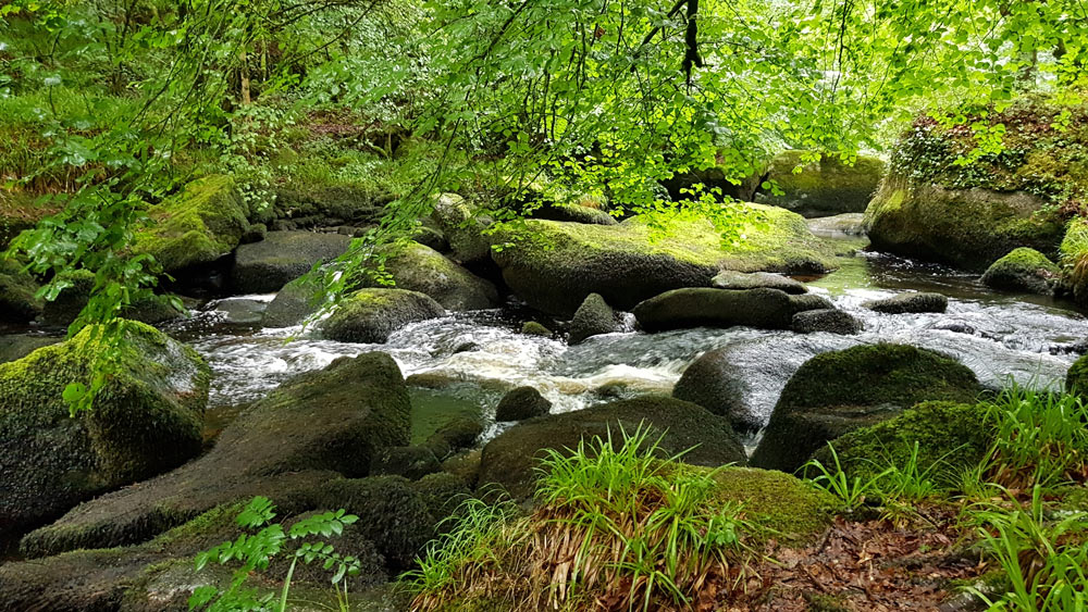 La rivière argent au cours des balades avec un druide à Huelgoat
